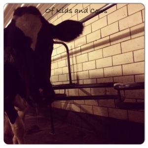 Bye #124! Thanks for being such a good udder model!