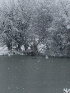 If you look really close, those 2 black dots are some chilly ducks.